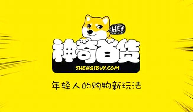“神奇百货”王凯歆，电商创业遭重挫
