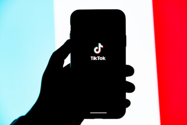 TikTok独立站引流